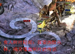 食人树叶秘闻:探索凶险丛林,揭开嗜血树叶的传说 食人树叶秘闻:探索凶险丛林,揭开嗜血树叶的传说