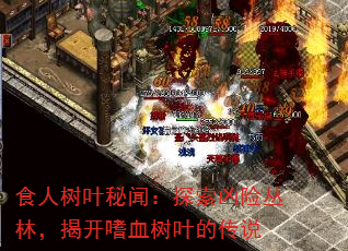 食人树叶秘闻:探索凶险丛林,揭开嗜血树叶的传说 食人树叶秘闻:探索凶险丛林,揭开嗜血树叶的传说