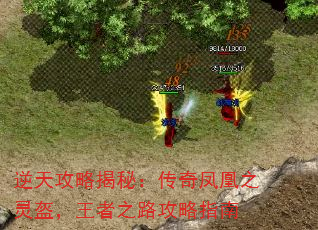 逆天攻略揭秘:传奇凤凰之灵盔,王者之路攻略指南 逆天攻略揭秘:传奇凤凰之灵盔,王者之路攻略指南