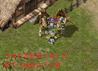 传奇世界新区火爆开区新手小白速上手攻略 传奇世界新区火爆开区新手小白速上手攻略