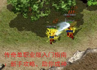 传奇单职业版入门指南:新手攻略,助你成神 传奇单职业版入门指南:新手攻略,助你成神