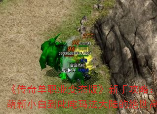 《传奇单职业变态版》新手攻略:从萌新小白到叱咤玛法大陆的绝世高手 《传奇单职业变态版》新手攻略:从萌新小白到叱咤玛法大陆的绝世高手