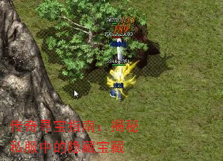 传奇寻宝指南:揭秘私服中的隐藏宝藏 传奇寻宝指南:揭秘私服中的隐藏宝藏