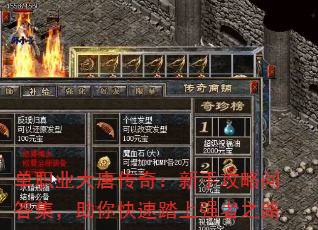 单职业大唐传奇:新手攻略问答集,助你快速踏上强者之路 单职业大唐传奇:新手攻略问答集,助你快速踏上强者之路