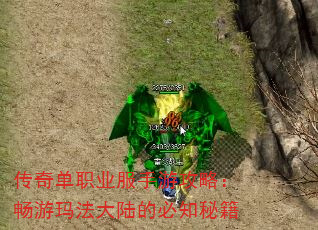 传奇单职业服手游攻略:畅游玛法大陆的必知秘籍 传奇单职业服手游攻略:畅游玛法大陆的必知秘籍