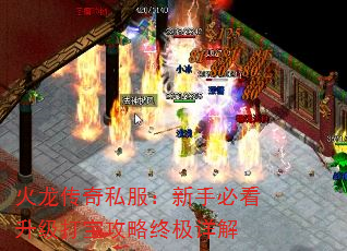 火龙传奇私服:新手必看升级打宝攻略终极详解 火龙传奇私服:新手必看升级打宝攻略终极详解
