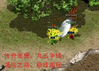 传奇逐鹿,九五争锋:满级之路,巅峰奥秘 传奇逐鹿,九五争锋:满级之路,巅峰奥秘