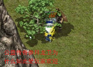 公益传奇参拜龙卫为什么如此受玩家欢迎 公益传奇参拜龙卫为什么如此受玩家欢迎