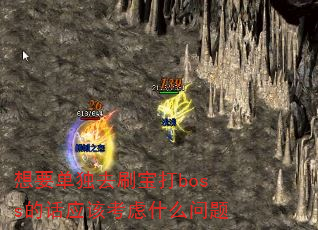 想要单独去刷宝打boss的话应该考虑什么问题 想要单独去刷宝打boss的话应该考虑什么问题