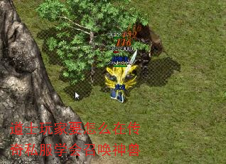 道士玩家要怎么在传奇私服学会召唤神兽 道士玩家要怎么在传奇私服学会召唤神兽