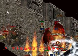 ʿڴ˽սָӱ