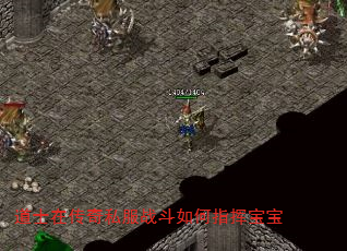 ʿڴ˽սָӱ