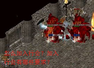 怎么加入行会?加入行会有哪些要求? 怎么加入行会?加入行会有哪些要求?