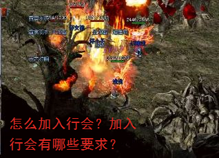 怎么加入行会?加入行会有哪些要求? 怎么加入行会?加入行会有哪些要求?