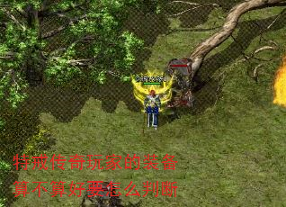 ؽ䴫ҵװ㲻Ҫôж