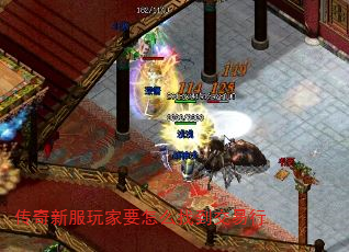 传奇新服玩家要怎么找到交易行 传奇新服玩家要怎么找到交易行