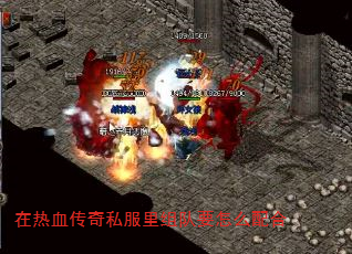在热血传奇私服里组队要怎么配合 在热血传奇私服里组队要怎么配合