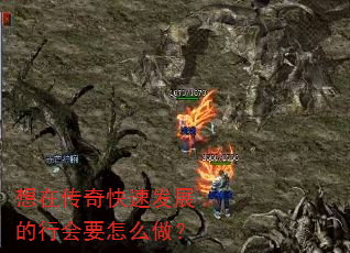 想在传奇快速发展的行会要怎么做? 想在传奇快速发展的行会要怎么做?