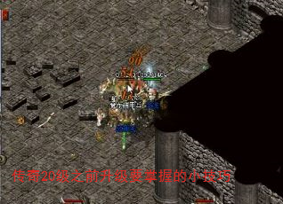 20֮ǰҪյС