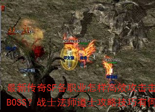 最新传奇SF各职业怎样高效攻击击败千年树妖BOSS?战士法师道士攻略技巧有何不同? 最新传奇SF各职业怎样高效攻击击败千年树妖BOSS?战士法师道士攻略技巧有何不同?