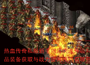 Ѫ˽οƷװȡսЩ