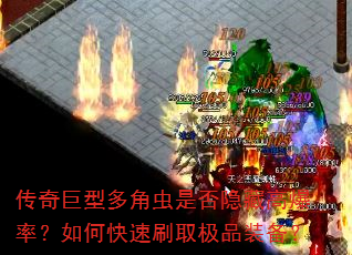 传奇巨型多角虫是否隐藏高爆率?如何快速刷取极品装备? 传奇巨型多角虫是否隐藏高爆率?如何快速刷取极品装备?