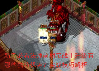 新手必看法师前期带战士升级有哪些独特优势?实战技巧解析 新手必看法师前期带战士升级有哪些独特优势?实战技巧解析
