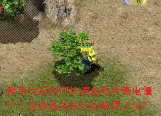 新手玩家如何快速击败传奇电僵尸?这些通关技巧你掌握了吗? 新手玩家如何快速击败传奇电僵尸?这些通关技巧你掌握了吗?