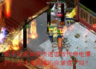 新手玩家如何快速击败传奇电僵尸?这些通关技巧你掌握了吗? 新手玩家如何快速击败传奇电僵尸?这些通关技巧你掌握了吗?