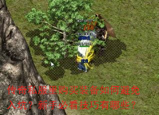 传奇私服里购买装备如何避免入坑?新手必看技巧有哪些? 传奇私服里购买装备如何避免入坑?新手必看技巧有哪些?