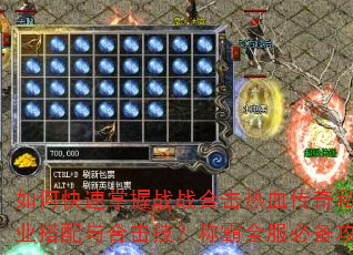 如何快速掌握战战合击热血传奇私服职业搭配与合击技?称霸全服必备攻略 如何快速掌握战战合击热血传奇私服职业搭配与合击技?称霸全服必备攻略