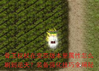 骨玉权杖在变态版本里属性怎么刷到逆天?装备强化技巧全揭秘 骨玉权杖在变态版本里属性怎么刷到逆天?装备强化技巧全揭秘