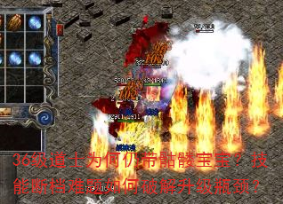 36级道士为何仍带骷髅宝宝?技能断档难题如何破解升级瓶颈? 36级道士为何仍带骷髅宝宝?技能断档难题如何破解升级瓶颈?