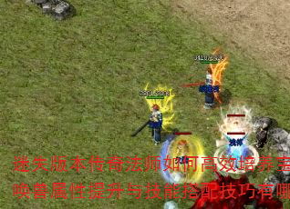 迷失版本传奇法师如何高效培养宝宝?召唤兽属性提升与技能搭配技巧有哪些? 迷失版本传奇法师如何高效培养宝宝?召唤兽属性提升与技能搭配技巧有哪些?
