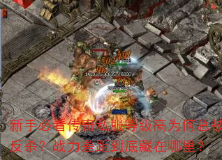 新手必看传奇私服等级高为何总被反杀?战力差距到底藏在哪里? 新手必看传奇私服等级高为何总被反杀?战力差距到底藏在哪里?