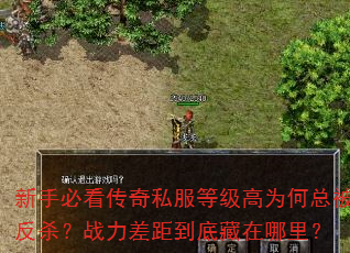 新手必看传奇私服等级高为何总被反杀?战力差距到底藏在哪里? 新手必看传奇私服等级高为何总被反杀?战力差距到底藏在哪里?