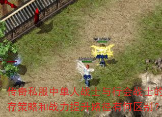 传奇私服中单人战士与行会战士的生存策略和战力提升路径有何区别? 传奇私服中单人战士与行会战士的生存策略和战力提升路径有何区别?