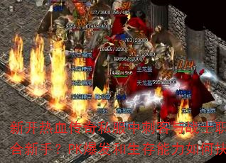 新开热血传奇私服中刺客与战士职业谁更适合新手?PK爆发和生存能力如何抉择? 新开热血传奇私服中刺客与战士职业谁更适合新手?PK爆发和生存能力如何抉择?