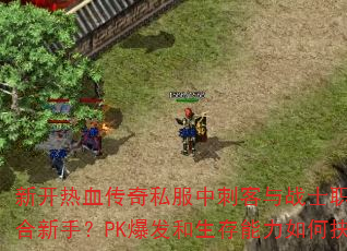 新开热血传奇私服中刺客与战士职业谁更适合新手?PK爆发和生存能力如何抉择? 新开热血传奇私服中刺客与战士职业谁更适合新手?PK爆发和生存能力如何抉择?