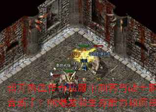 新开热血传奇私服中刺客与战士职业谁更适合新手?PK爆发和生存能力如何抉择? 新开热血传奇私服中刺客与战士职业谁更适合新手?PK爆发和生存能力如何抉择?