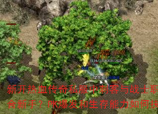 新开热血传奇私服中刺客与战士职业谁更适合新手?PK爆发和生存能力如何抉择? 新开热血传奇私服中刺客与战士职业谁更适合新手?PK爆发和生存能力如何抉择?