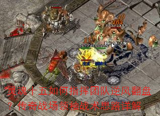 ʮָŶ緭̣սս˼·