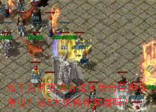 ΪθʺͶǳ棿5֪