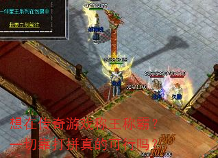 想在传奇游戏称王称霸?一切靠打拼真的可行吗? 想在传奇游戏称王称霸?一切靠打拼真的可行吗?