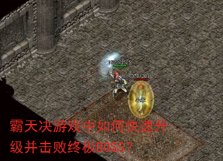 霸天决游戏中如何快速升级并击败终极BOSS? 霸天决游戏中如何快速升级并击败终极BOSS?