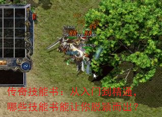 漼飺ŵͨЩӱ