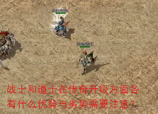 战士和道士在传奇升级方面各有什么优势与劣势需要注意? 战士和道士在传奇升级方面各有什么优势与劣势需要注意?