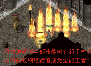 ٽȫִθЧˢֵΪȫߣ