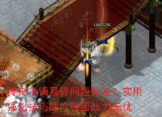 Ƶʵǿȹս