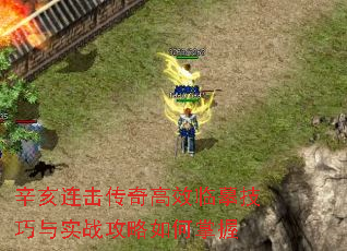 Чġʵս